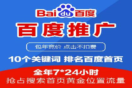 案例分析：打造高效竞价推广策略